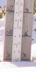 Thursday, November 20, 2008