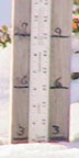 Friday, November 21, 2008
