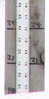 Thursday, February 19, 2009