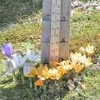 Friday, April 24, 2009