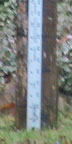 Wednesday, December 1, 2010