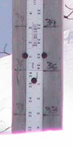 Thursday, March 3, 2011