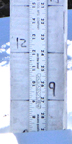 Sunday, January 24, 2016