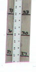 Sunday, February 17, 2008