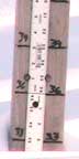 Thursday, February 28, 2008