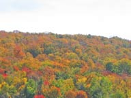 Beautiful fall colors behind Hole 5 on the Killington Resort Golf Course