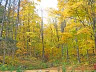 Last of fall foliage behind Birch Ridge Inn