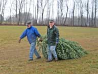 Gathering one of the 5 Christmas trees fresh cut on Christmas Tree Monday.
