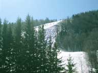 Bumps on skiers left on Superstar from K1 Base Lodge