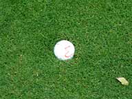 Tight Lies - ball plugged in fairway off 10th tee at Green Mountain National