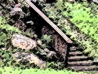Stairway to heaven...original art from killingtonblog.com