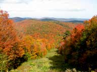 Fall colors nearing peak. Photo down Lower Vertigo from old Snowshed Crossover