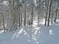 Stash woods....lots of snow!