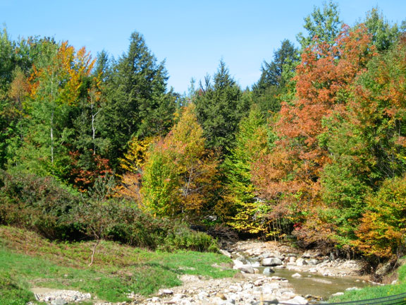 Foliage pictures in the neighborhood near the Birch Ridge Inn at Killington taken September 26, 2011