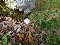 Tight lie on hole 12 at Green Mountain National last Tuesday
