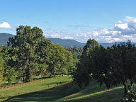 Church Steeples in Rutland Vermont from the 17th tee at Rutland Country Club