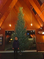 The Birch Ridge 2012 Christmas Tree - Naked