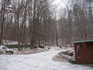 Snow falling in the forest behind the Birch Ridge Inn at Killington.