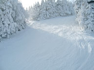 Beautiful snow on Upper Chute as seen from Snowdon Quad.