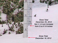 Snow Stake from December 18 to December 25