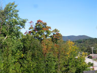 Foliage colors starting to appear.