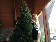 The end of the holiday season - Mary taking down the 2013 Christmas Tree