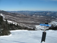 Blue skies provide a radiant glow over a freshly groomed Ovation.