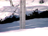 20 inches of snow on the ground at the Birch Ridge Inn at Killington
