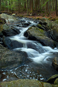 Upper Thundering Brook : a photograph by Susan R. Wacker-Donle