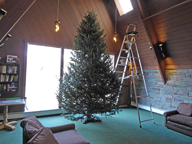 The Birch Ridge Inn 2015 Christmas Tree awaiting decorations.