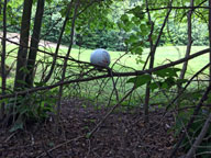 Interesting lie... I did hit it from the tree back into the fairway