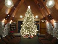 Can you count the lights on the 2017 Birch Ridge Inn Christmas Tree???