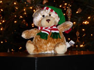 Sharing Teddy