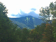 The change to fall colors has finally started.