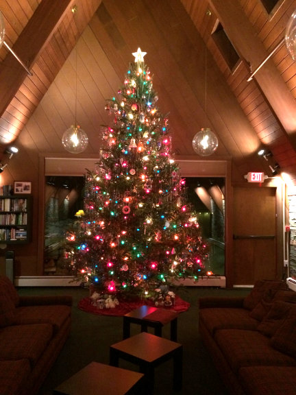 2018 Birch Ridge Inn Christmas Tree