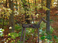 Frizzy's deer standing watch over the Birch Ridge Inn from the forest behind the inn.